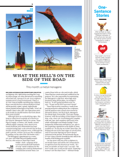 One- Sentence Stories WHAT THE HELL`S ON THE