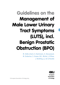 Guidelines on the Management of Male Lower Urinary Tract