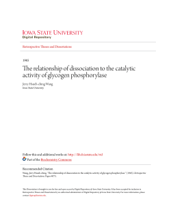 The relationship of dissociation to the catalytic activity of glycogen