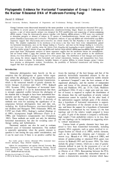 Phylogenetic Evidence for Horizontal