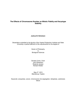 The Effects of Chromosome Number on Mitotic Fidelity