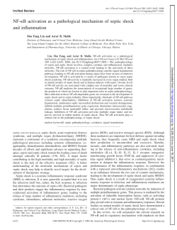 NF-&kappa;B activation as a pathological mechanism of septic - AJP-Lung