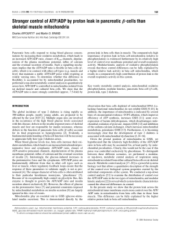 Stronger control of ATP/ADP by proton leak in pancreatic &beta;