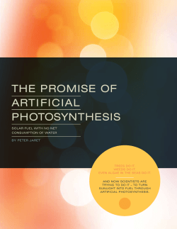 The Promise of Artificial Photosynthesis