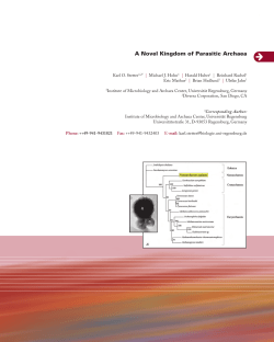 A Novel Kingdom of Parasitic Archaea