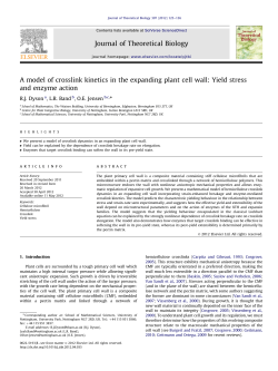 A model of crosslink kinetics in the expanding plant cell wall Yield