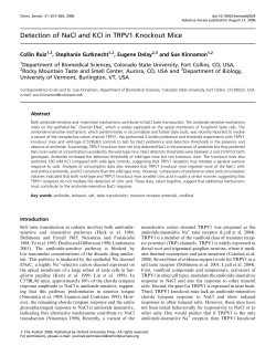 Detection of NaCl and KCl in TRPV1 Knockout