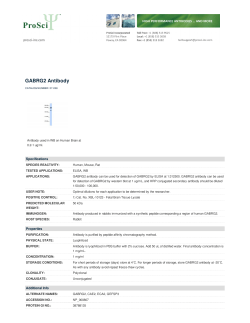 GABRG2 Antibody