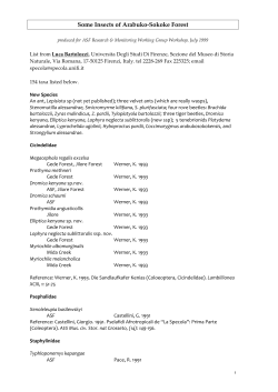 Some Insects of Arabuko-Sokoke Forest