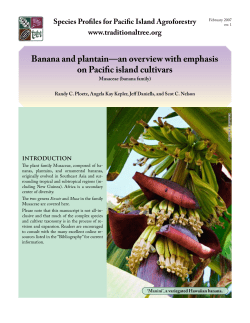 Banana-Plantain Overview