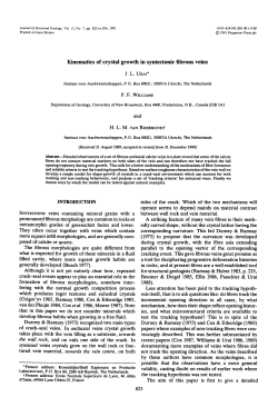 Kinematics of crystal growth in syntectonic fibrous veins