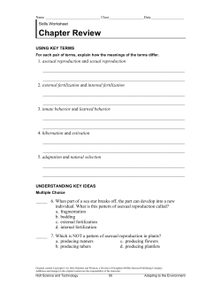 Chapter Review