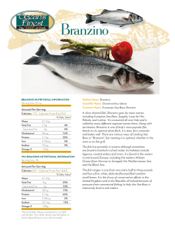 Branzino - Rastelli Seafood