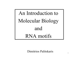 An Introduction to Molecular Biology and RNA motifs