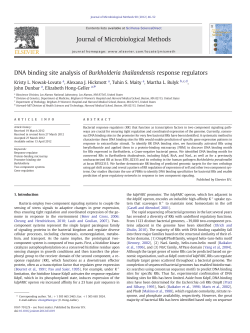 DNA binding site analysis of Burkholderia
