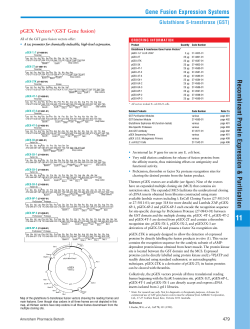 pGEX Vectors*(GST Gene fusion)