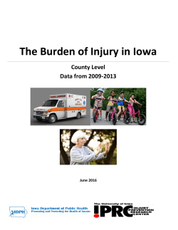 The Burden of Injury in Iowa