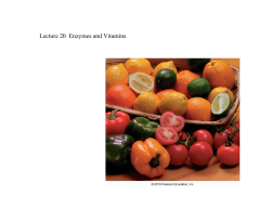 Lecture 20 Enzymes and Vitamins