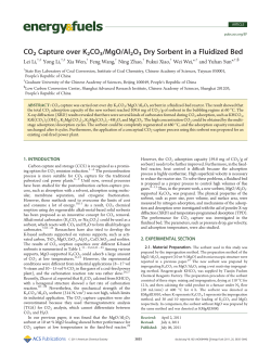 CO2 Capture over K2CO3/MgO/Al2O3 Dry Sorbent in a Fluidized Bed