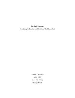 The Dark Economy: Examining the Practices and Policies of the