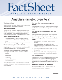 Fact Sheet: Amebiasis (amebic dysentery)