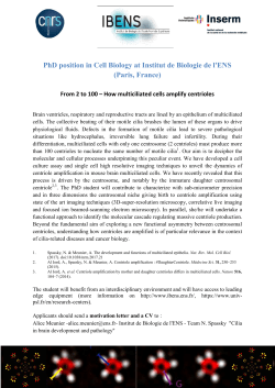 PhD position in Cell Biology at Institut de Biologie de l`ENS (Paris