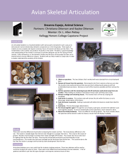 Kellogg Honors College Capstone Poster