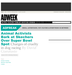 Animal Activists Bark at Skechers Over Super Bowl Spot Charges of