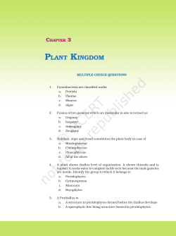 chapter 3.pmd