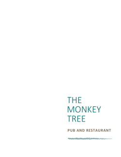 THE MONKEY TREE