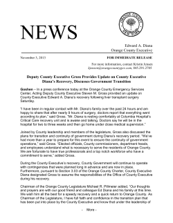 Edward A. Diana Orange County Executive Deputy County