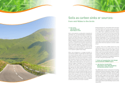 Soils as carbon sinks or sources