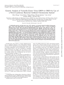 Genetic Analysis of Varicella-Zoster Virus ORF0 to ORF4 by Use of a