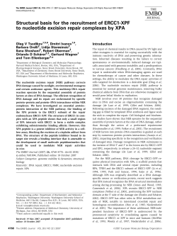 Structural basis for the recruitment of ERCC1XPF to nucleotide