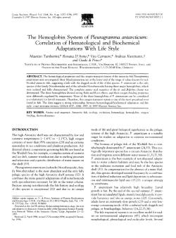 The Hemoglobin System of Pleuragramma anturcticum: Correlation