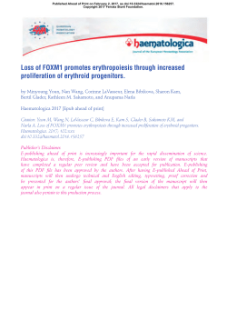 Loss of FOXM1 promotes erythropoiesis through increased