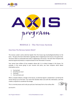 MODULE 2 - The Nervous System