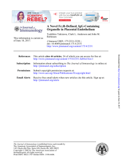 Organelle in Placental Endothelium R-Defined, IgG