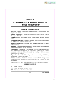 the PDF File