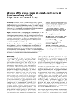 Structure of the protein kinase Cb phospholipid