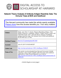 Network Theory Analysis of Antibody