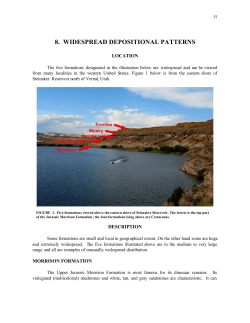 8. WIDESPREAD DEPOSITIONAL PATTERNS