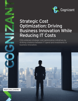 Strategic Cost Optimization: Driving Business Innovation