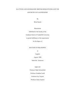 brian rejack - dissertation