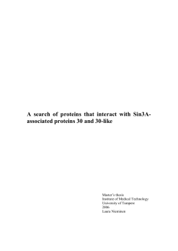 Review of the literature - TamPub