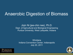 Anaerobic Digestion of Biomass