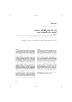 Human neutrophil granules and exocytosis molecular control