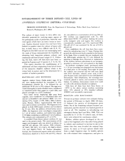 establishment of three diploid cell lines of anopheles stephe\`si
