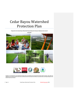 Cedar Bayou Watershed Protection Plan