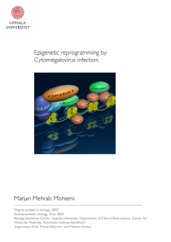 Epigenetic reprogramming by Cytomegalovirus infection Marjan